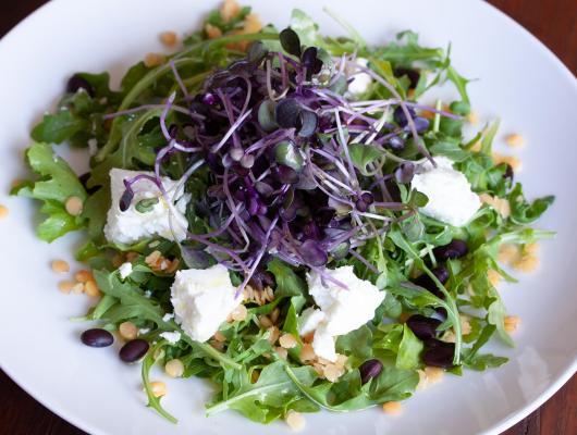 Lentils, Black Beans, Goat Cheese & Baby Green Salad