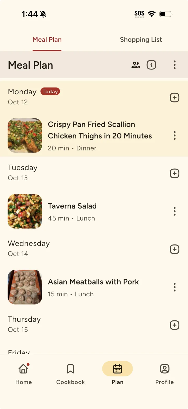Meal Plan for this week, with lunch and dinner recipes planned day by day